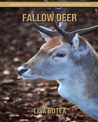 Book cover for Fallow Deer