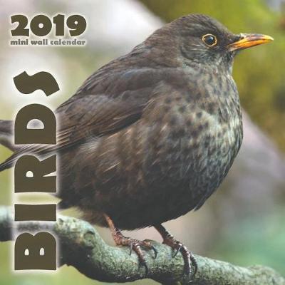 Book cover for Birds 2019 Mini Wall Calendar