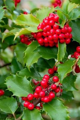 Book cover for Yuletide Holly Berries Journal