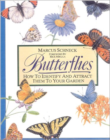 Book cover for Butterflies