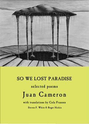 Book cover for So We Lost Paradise