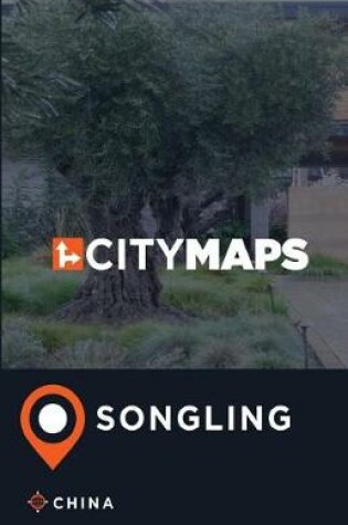 Cover of City Maps Songling China