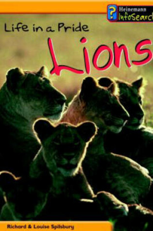 Cover of Animal Groups: Life in a Pride of Lions