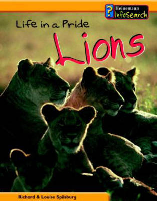 Book cover for Animal Groups: Life in a Pride of Lions