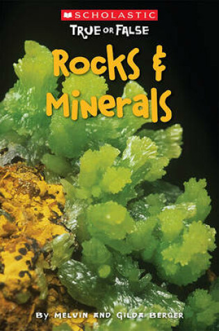 Cover of Rocks & Minerals