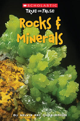 Book cover for Rocks & Minerals