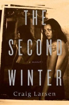 Book cover for The Second Winter