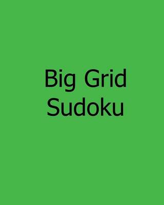 Book cover for Big Grid Sudoku