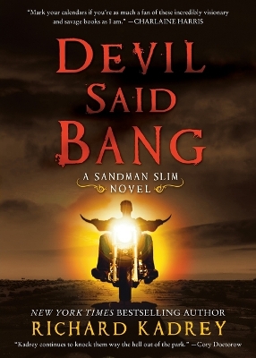 Book cover for Devil Said Bang
