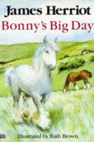 Cover of Bonny's Big Day