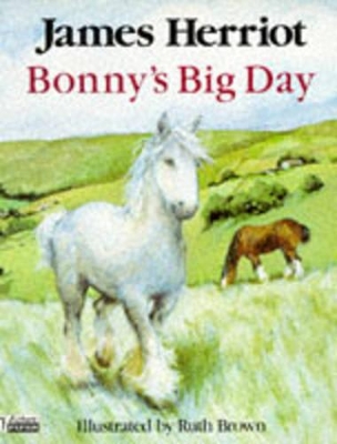 Book cover for Bonny's Big Day