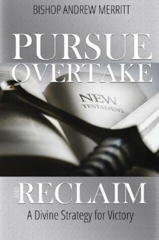 Cover of Pursue, Overtake, and Reclaim