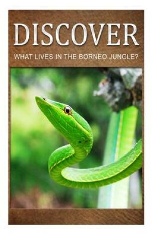 Cover of What Lives in the Borneo Jungle? - Discover