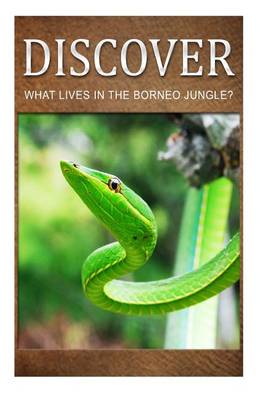 Book cover for What Lives in the Borneo Jungle? - Discover