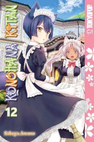 Cover of Konohana Kitan, Volume 12