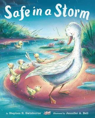Book cover for Safe in a Storm