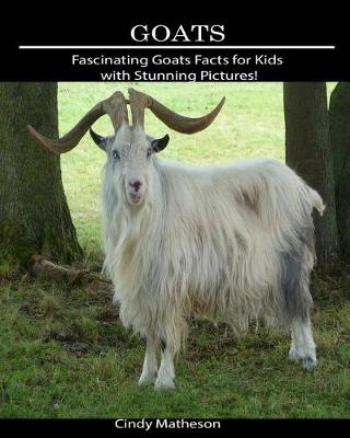 Book cover for Goats