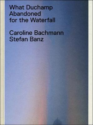 Book cover for What Duchamp Abandoned for the Waterfall