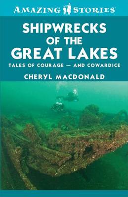 Book cover for Shipwrecks of the Great Lakes