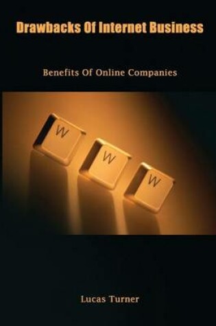 Cover of Drawbacks of Internet Business