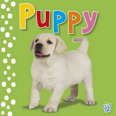 Cover of Touch and Feel Puppy