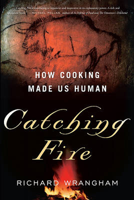 Book cover for Catching Fire