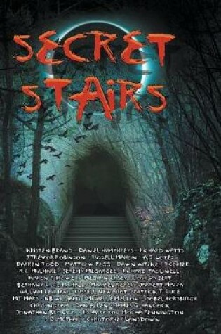 Cover of Secret Stairs