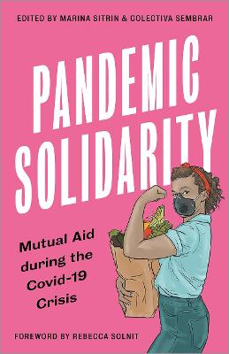 Book cover for Pandemic Solidarity