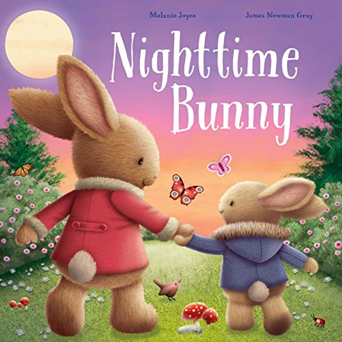 Book cover for Nighttime Bunny