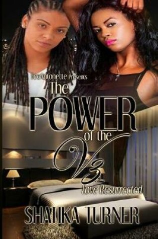 Cover of The Power of the V 3