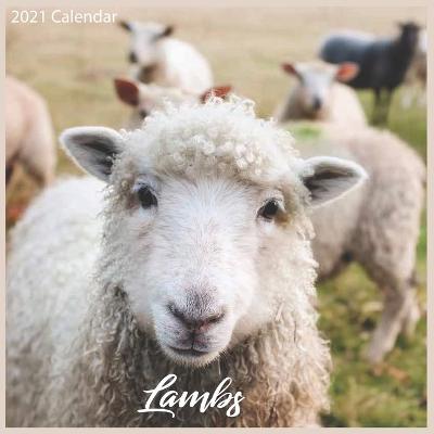 Book cover for Lambs 2021 Calendar