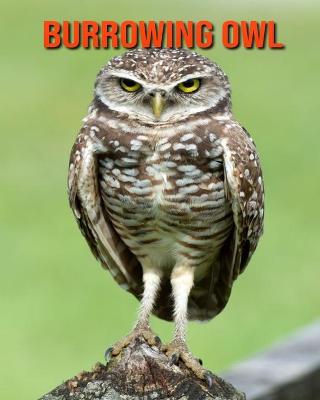 Book cover for Burrowing Owl