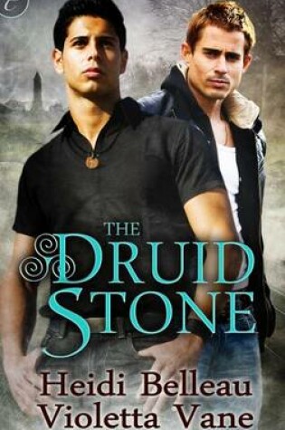 Cover of The Druid Stone