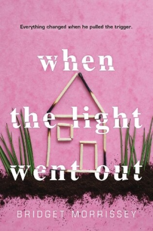 Cover of When the Light Went Out