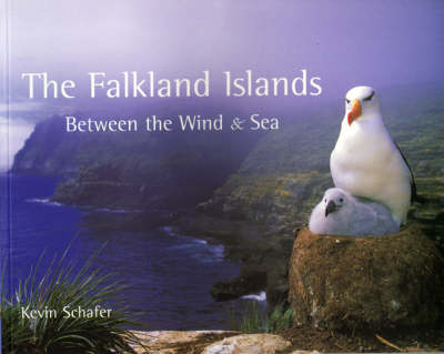 Book cover for The Falkland Islands