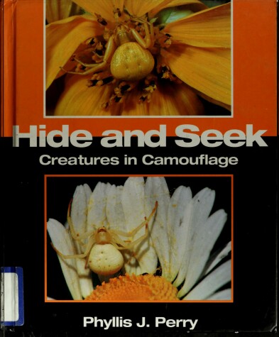 Cover of Hide and Seek