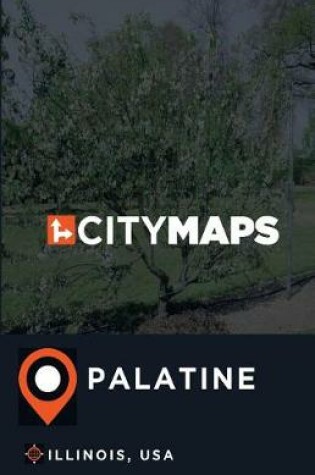 Cover of City Maps Palatine Illinois, USA