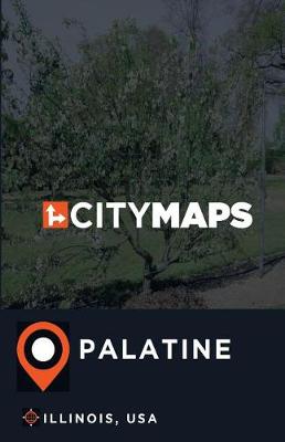 Book cover for City Maps Palatine Illinois, USA