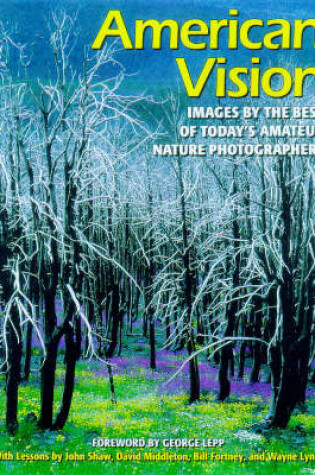 Cover of American Vision