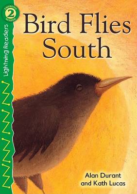 Book cover for Bird Flies South