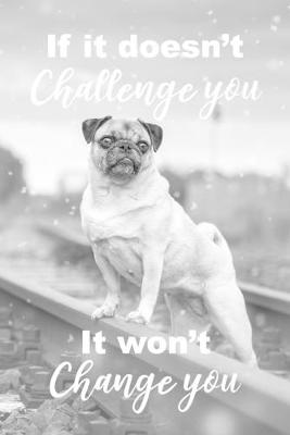 Book cover for If It Doesn't Challenge You It Won't Change You