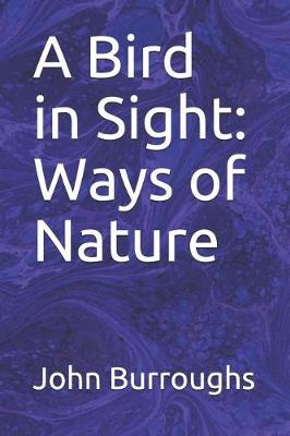 Book cover for A Bird in Sight