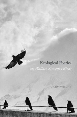 Cover of Ecological Poetics; Or, Wallace Stevens's Birds