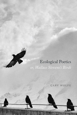 Book cover for Ecological Poetics; Or, Wallace Stevens's Birds