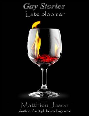 Book cover for Gay Stories - Late Bloomer