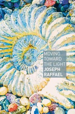 Cover of Moving Towards the Light: Joseph Raffael