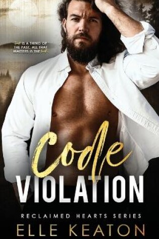 Cover of Code Violation