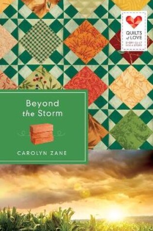 Cover of Beyond the Storm