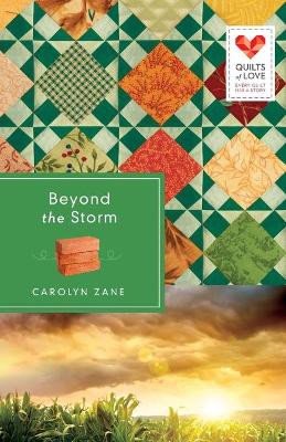 Book cover for Beyond the Storm