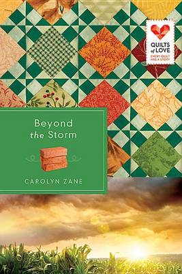 Cover of Beyond the Storm